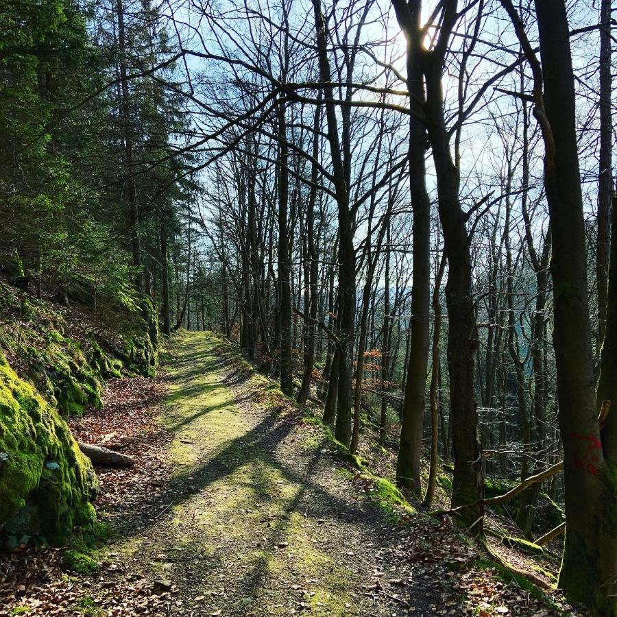 Ferienwohnung Frankenwald Naila Buitenkant foto